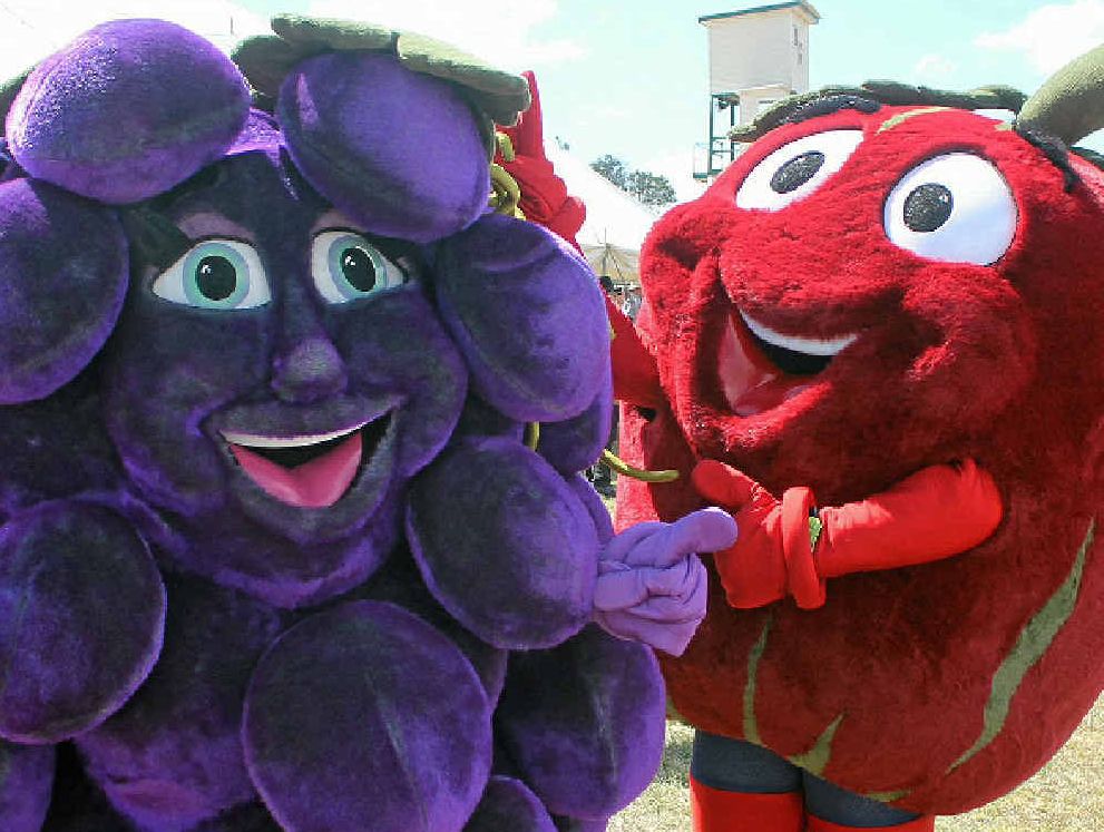 COLOUR AND MOVEMENT: Preparations are under way for the Apple and Grape Harvest Festival Grand Parade for 2014.